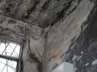 А Ви хочете так жити?