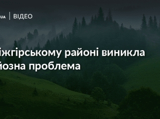 На Міжгірщині виникла серйозна проблема. Селяни б’ють на сполох