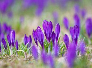 Останній день зими запам’ятається «спекою»: де прогріється до +18 градусів