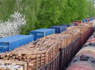 Москаль зібрався в суд і збирається особисто свідчити про корупційні схеми лісгоспів