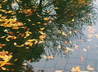 Прогноз погоди на 18 і 19 листопада