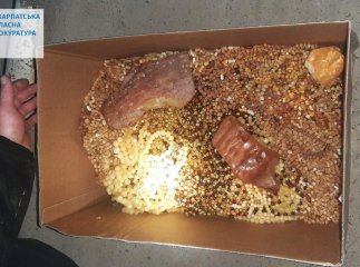 Перед судом постане чоловік, який намагався перевезти через кордон бурштин