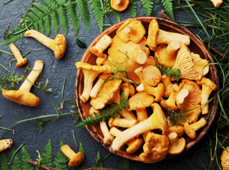 Як приготувати лисички гриби