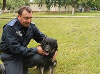 Закарпатські кінологи разом зі службовими собаками повернулись із зони АТО