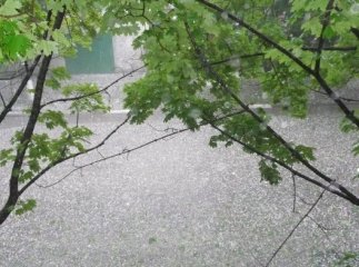 20 дворогосподарств у гірських районах області були затоплені через сильні дощі