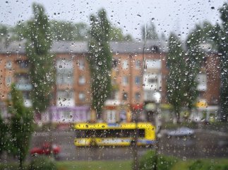У неділю в Україні майже всюди негода: на Закарпатті подекуди грози