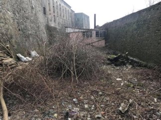 У Мукачеві прибирають територію навколо замку