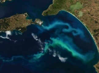 Незвичайне світіння побачили з космосу: супутники виявили в океані дещо цікаве Незвичайне світіння побачили з космосу: супутники виявили в океані дещо цікаве