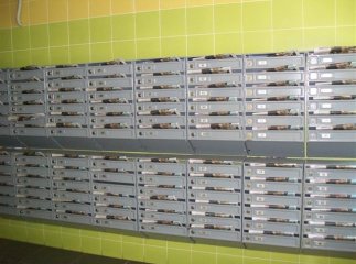 Мешканцям ужгородських багатоповерхівок безкоштовно роздали газету з джинсою кандидата у нардепи (ФОТО)