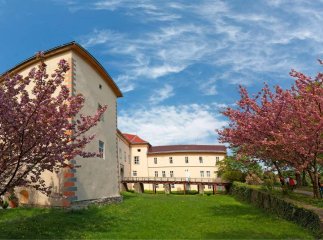 Через перехід на літній час, на Закарпатті змінюють графік роботи деяких музеїв