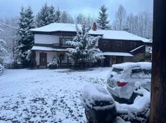 Повернення зими у квітні: в яких областях сильно похолодало та засніжило