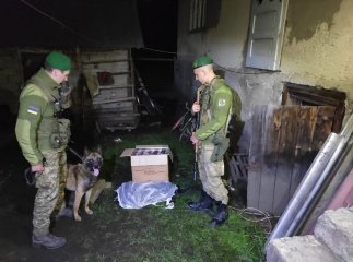 Забігли на приватне обійстя: прикордонники розповіли про нічні пригоди