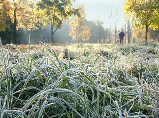 На Україну насуваються перші заморозки