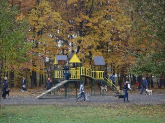 У Мукачеві облаштують тренувальний майданчик для собак