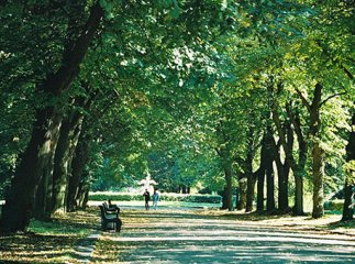 Львівські парки прибирають двірники з Європи та Азії 