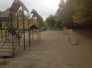 У неділю в Мукачеві відкриють дресирувальний парк для собак