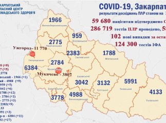 Сотня нових хворих та багато померлих: оновлена статистика по коронавірусу в Закарпатті