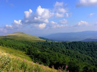 На полонині Руні проведуть Перший міжнародний фізкультурно-мистецький фестиваль "Зірки досяжні"