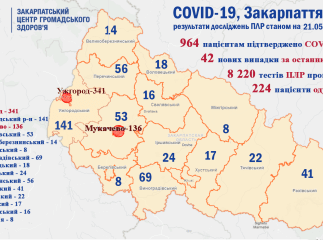 964 пацієнтам підтверджено COVID-19: оновлені дані стосовно коронавірусу в Закарпатті