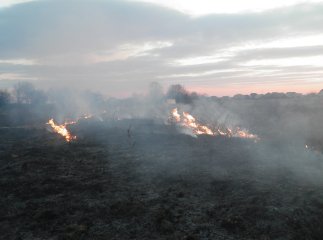 На Чернечій Горі біля Мукачева сталася пожежа