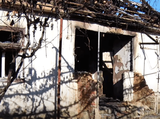 Трагедія на Закарпатті: батьки не змогли врятувати сина