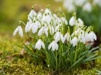 Весна 2026 – прогноз погоди на початок березня