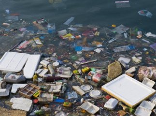 Річки Закарпаття потопають у смітті: побачене жахає