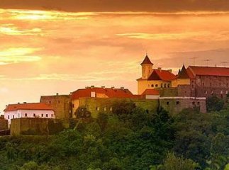 У мережі опублікували неймовірне відео про дві родзинки Мукачева
