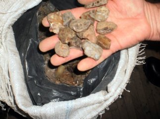 Трьох закарпатці оштрафували на 6800 гривень за видобуток бурштину на Волині