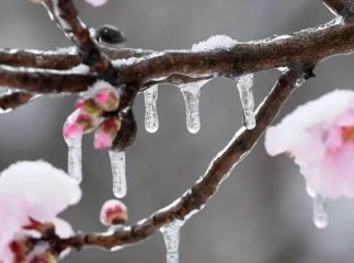 Українців попереджають про нічні заморозки та ожеледицю на дорогах Українців попереджають про нічні заморозки та ожеледицю на дорогах
