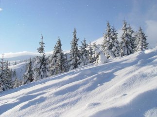 На межі Закарпаття та Івано-Франківщини рятувальники шукали 6 туристів з Києва, які заблукали