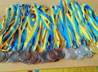 У краї відбувся чемпіонат області з самбо