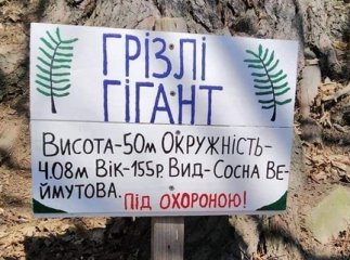 На Закарпатті зняли на відео "велетня" під назвою "Грізлі гігант"