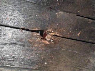 Під ранок на подвір’ї підприємиці з Мукачева пролунав вибух: перші подробиці з місця події