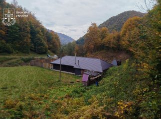 Лісничий збудував приватний будинок на землях лісового фонду Закарпаття