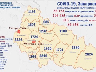 В Ужгороді та ще в одному районі Закарпаття зафіксовано багато хворих на коронавірус