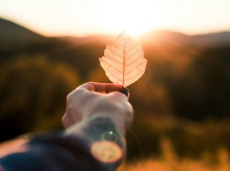 Яке сьогодні свято 19 листопада 2024 року