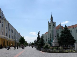 Суд залишив позов Москаля до Мукачівської міськради без розгляду