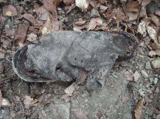 Росіянин використовує скаутів для поповнення колекції антикваріату?