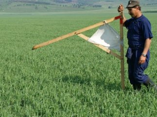 Пайовики, які працювали в радгосп-заводах, мають шанс на наділи