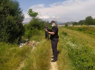 Вздовж вулиці лежали трупи тварин: побачене у Мукачеві обурило людей