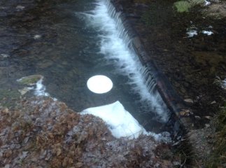 На Закарпатті сфотографували унікальне природне явище