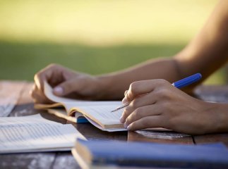 Знову за парти: коли почнеться новий навчальний рік 2024-2025
