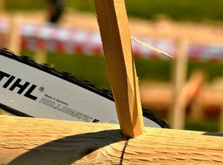 На Міжгірщині визначили найкращих вальників лісу