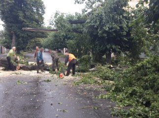 Поламані дерева, розтрощені автомобілі, зсув грунту: вчорашня негода наробила лиха по всьому Закарпаттю