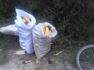Охоронець затримав чоловіка, який вчиняв злочин