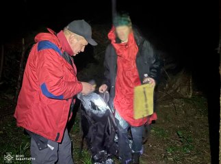 У горах знайшли чоловіка, який чотири дні блукав Карпатами