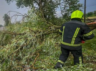 Рятувальники відзвітували про роботу з наслідками негоди на Закарпатті