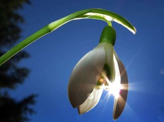 Синоптики розказали про погоду на наступний тиждень 