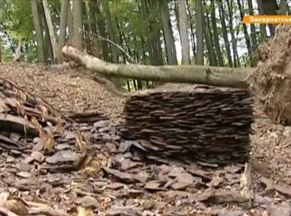 На Воловеччині патрульні затримали водія, який нелегально перевозив дорогоцінне каміння